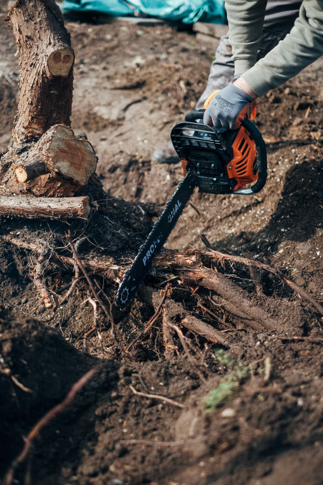 picture of a man cutting a tree root with a chainsaw